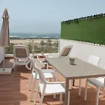 Tocororo Cotillo