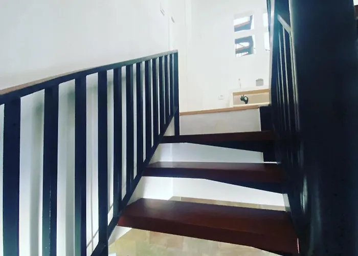 Διαμέρισμα Tocororo *