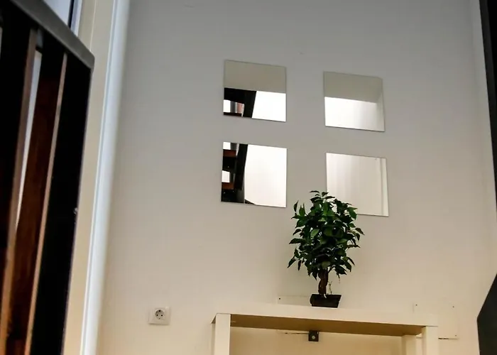 Tocororo Διαμέρισμα